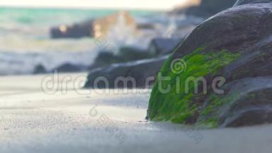巨大的石头覆盖着海岸上的绿色海藻和飞溅的水波。 海沙上大石头上的苔藓海藻
